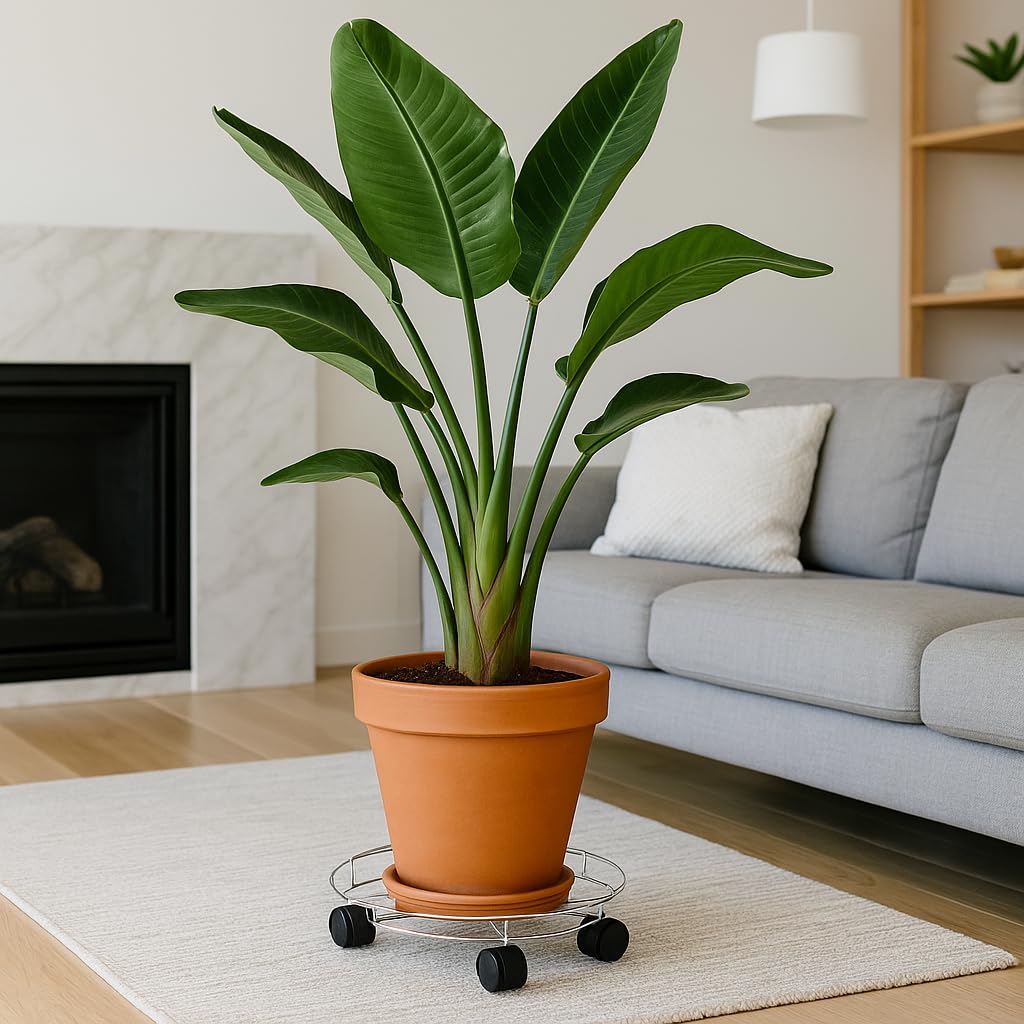 Soporte para Macetas con Ruedas, Soporte Plantas, Soporte Macetas Interior, Base con Ruedas, Ruedas Bombona Butano, Soporte Rodante.(2 Unidades, 32 cm / 12.5 in)