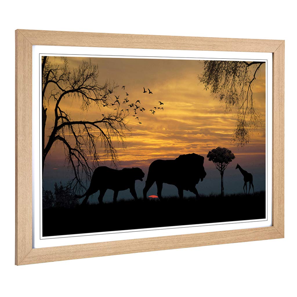 Big Box Art Framed Print of Lions and Giraffe Sunset Landscape Design | Wall Art Picture | Home Decor for Kitchen, Living Room, Bedroom, Hallway, Oak, A2 / 24.5x18 Inch / 62x45cm