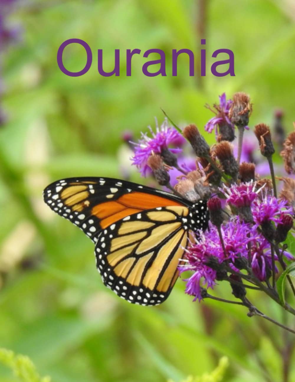 Ourania