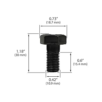 h*e様 掛け軸 おまとめ セット Amazon | 玄人志向 インターフェース M.2 NVMe SSD & M.2 SATA