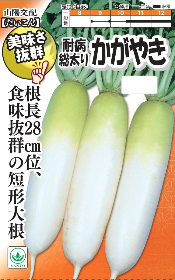 Amazon.co.jp: 耐病総太り大根 かがやき 【50粒】 根長28cm 根径10cm