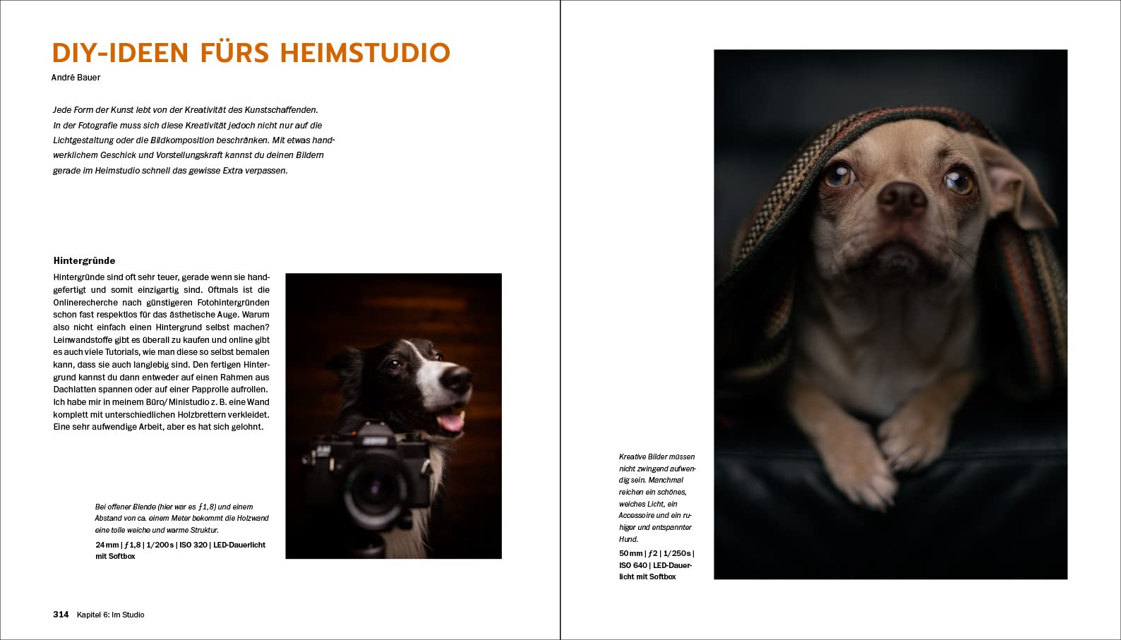 Hundefotografie: Fellnasen liebevoll in Szene setzen. So gelingen Hundeporträts mit Ausdruck und Witz – draußen und im Studio. 350 Seiten Profi-Wissen