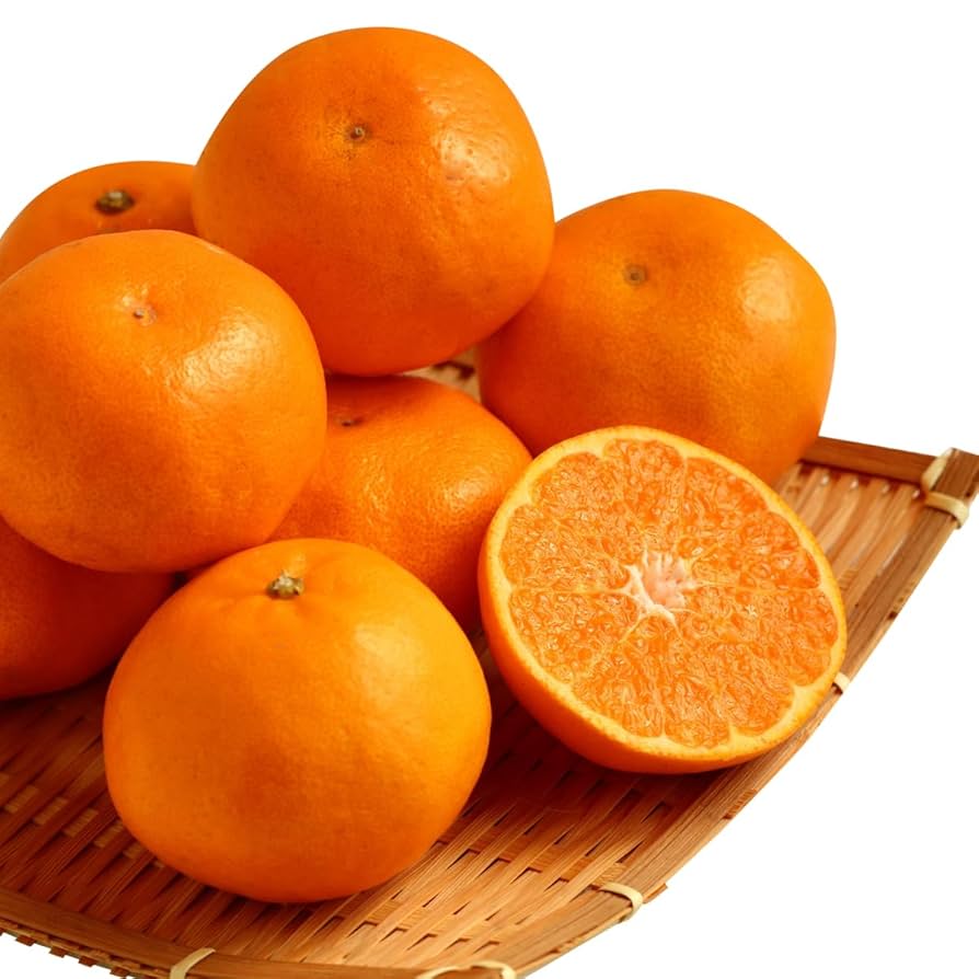 みかん みかん 佐賀産 JAからつ ”ハウスみかん” 大玉Lサイズ 約5kg 温室