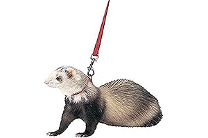 Soft & Comfy Harness and Leash for Ferrets