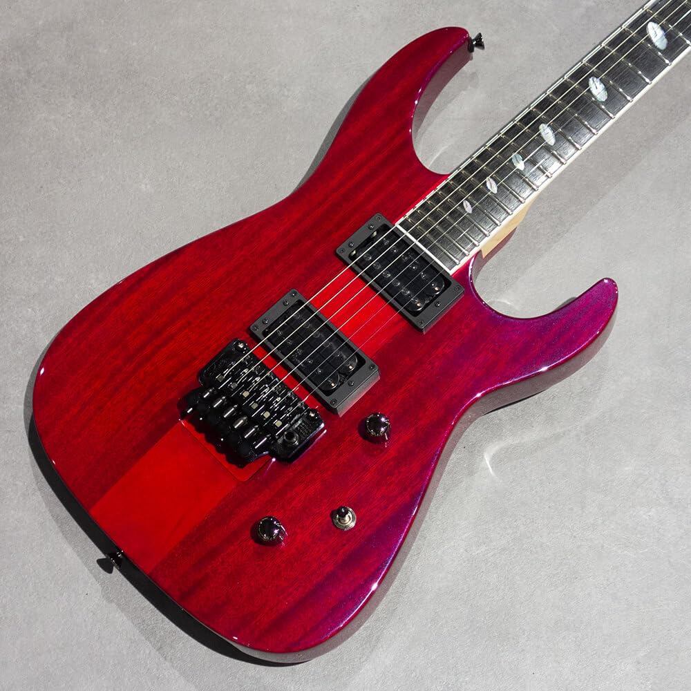 Amazon | Caparison Guitars Dellinger II Prominence EF Trans