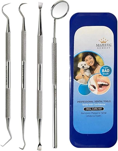 Set de herramientas de higiene dental, de acero inoxidable, punzón de limpieza, espejo de boca, rascador de sarro y removedor de placa, kit de