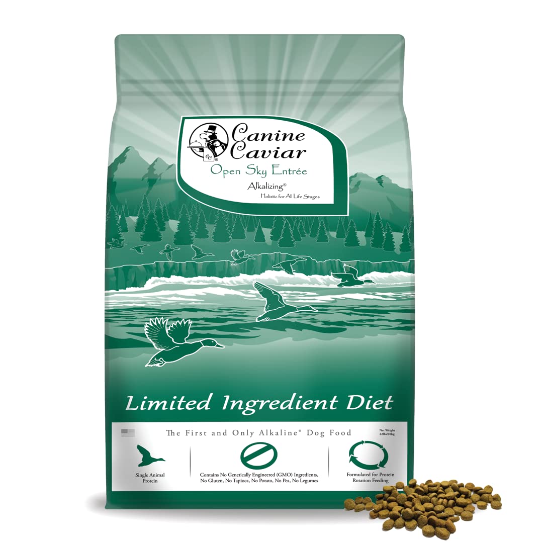 Is It Ok To Feed Dogs Quinoa