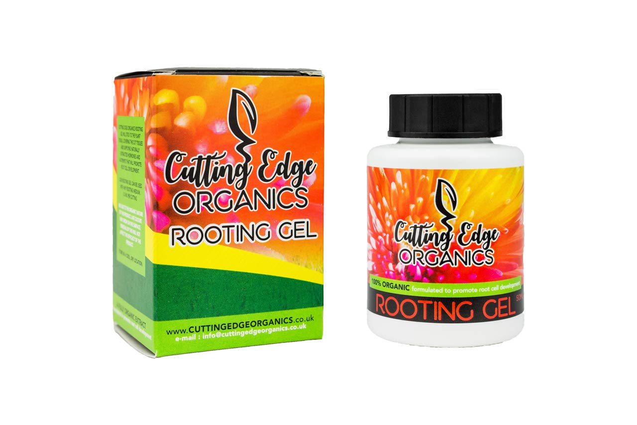 Clonex Rooting Gel 50 Ml Rooting Powder For Cuttings Rooting | Desertcart  Cyprus