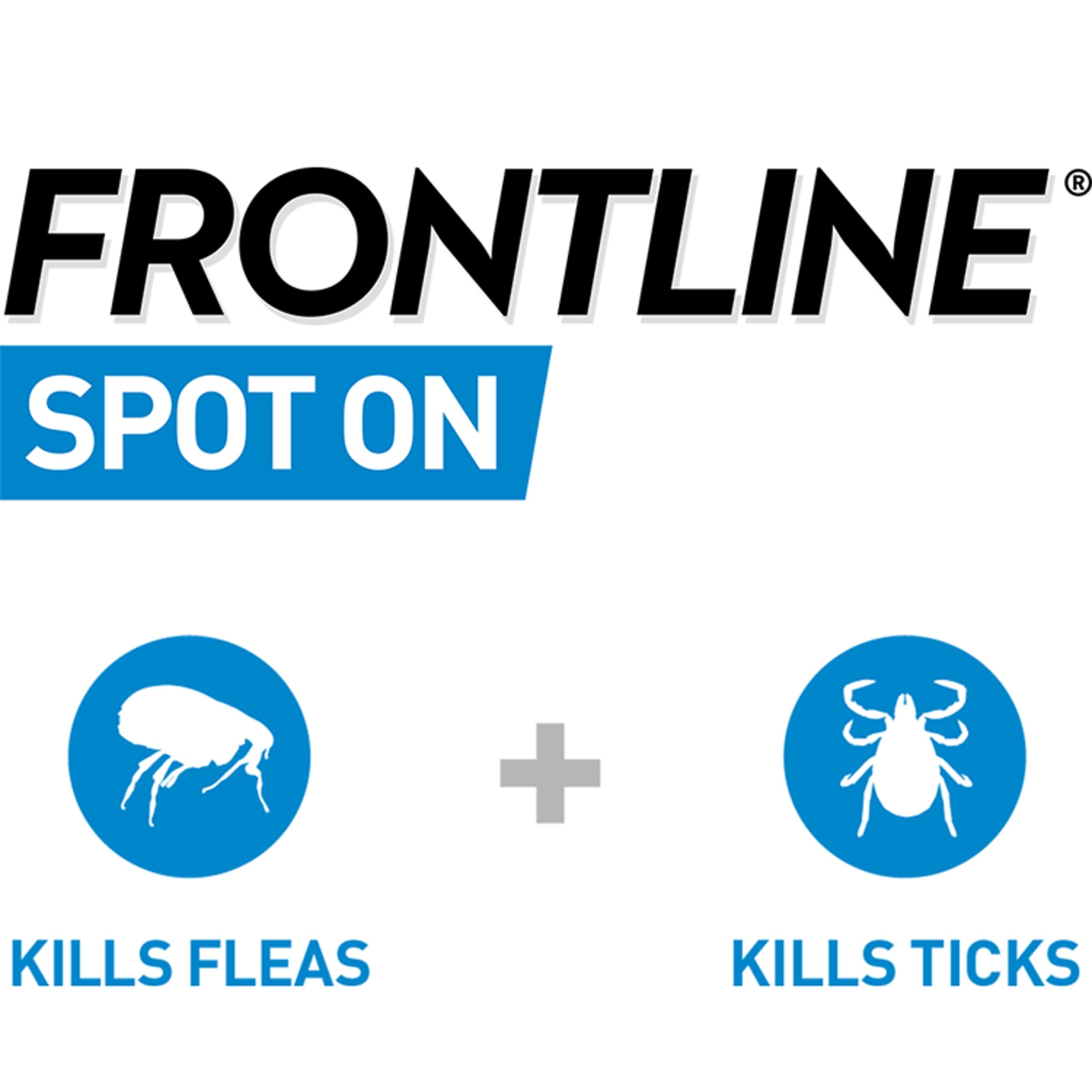 Frontline For Cats (Frontline Spot On For Cats)