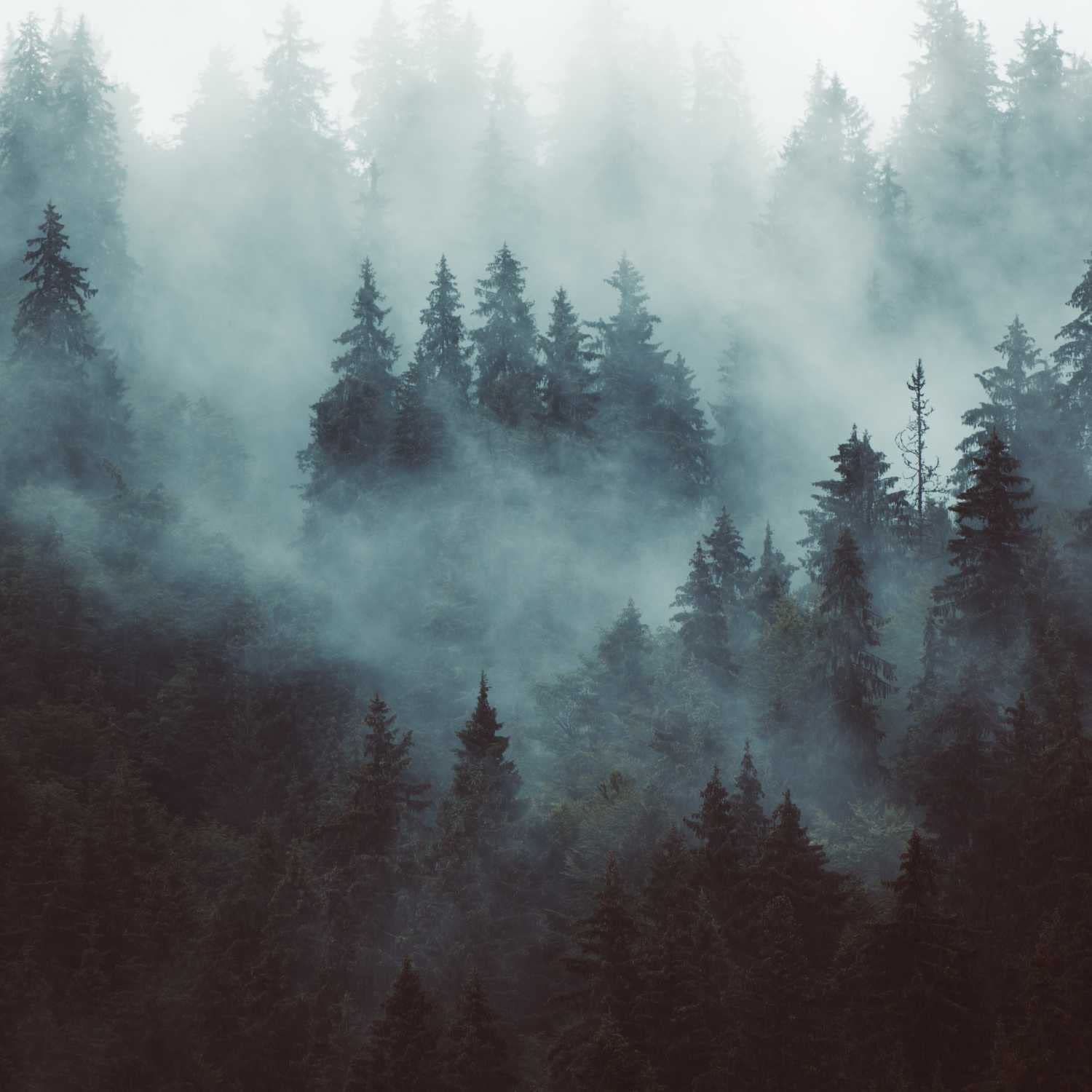 Sid Sylvan's Audio Adventures