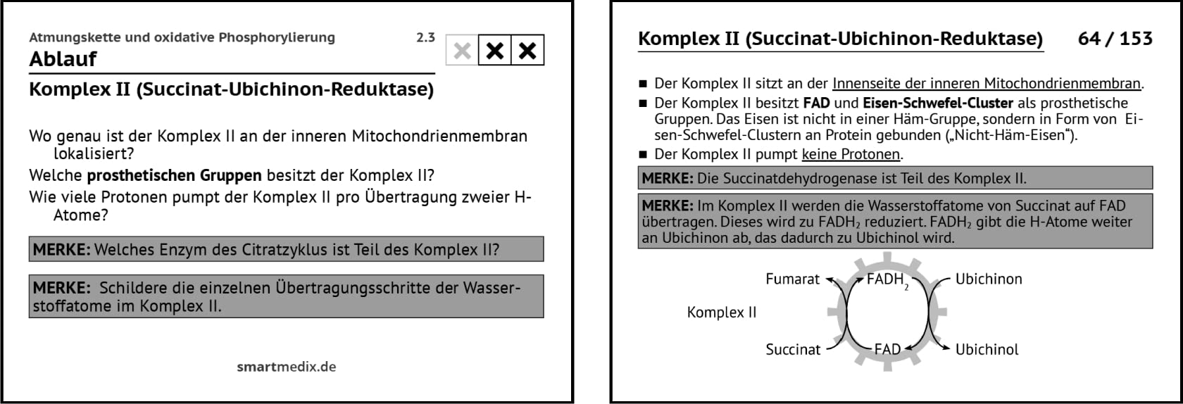 SmartMedix Lernkarten Biochemie Box 1: Kohlenhydrate, Lipide, Aminosäuren und ihre Stoffwechsel, Peptide und Proteine, Citratzyklus und Atmungskette