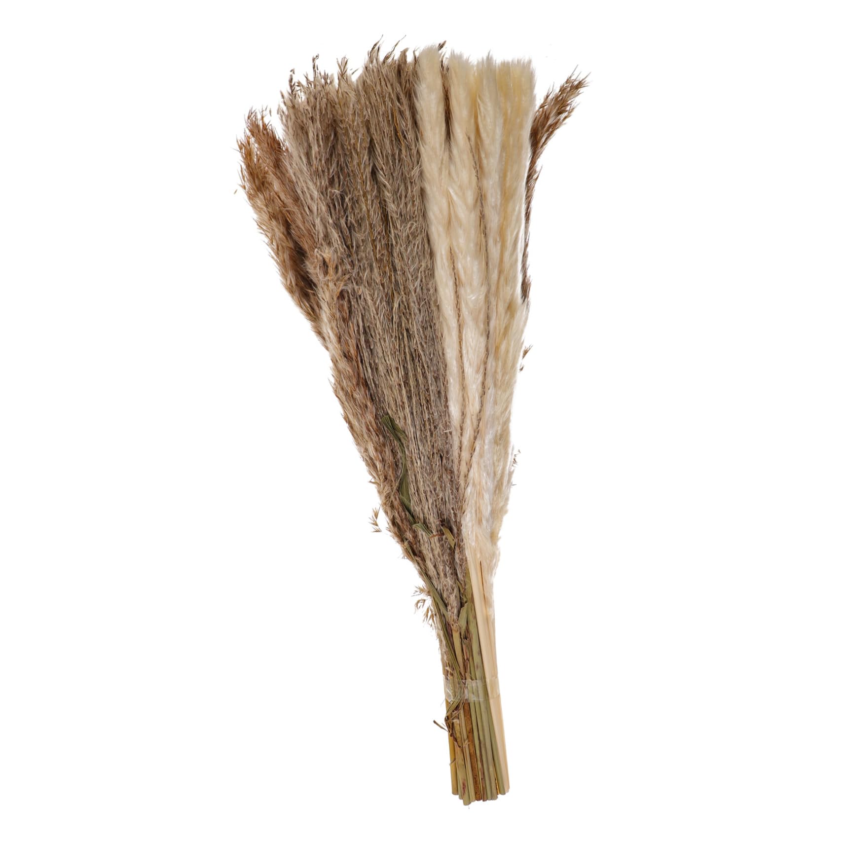 ifundom 2ensembles Vase Décor Herbe De Pampa Séchée De Fleurs Artificielles pour Décoration Intérieure Et Événements Spéciaux