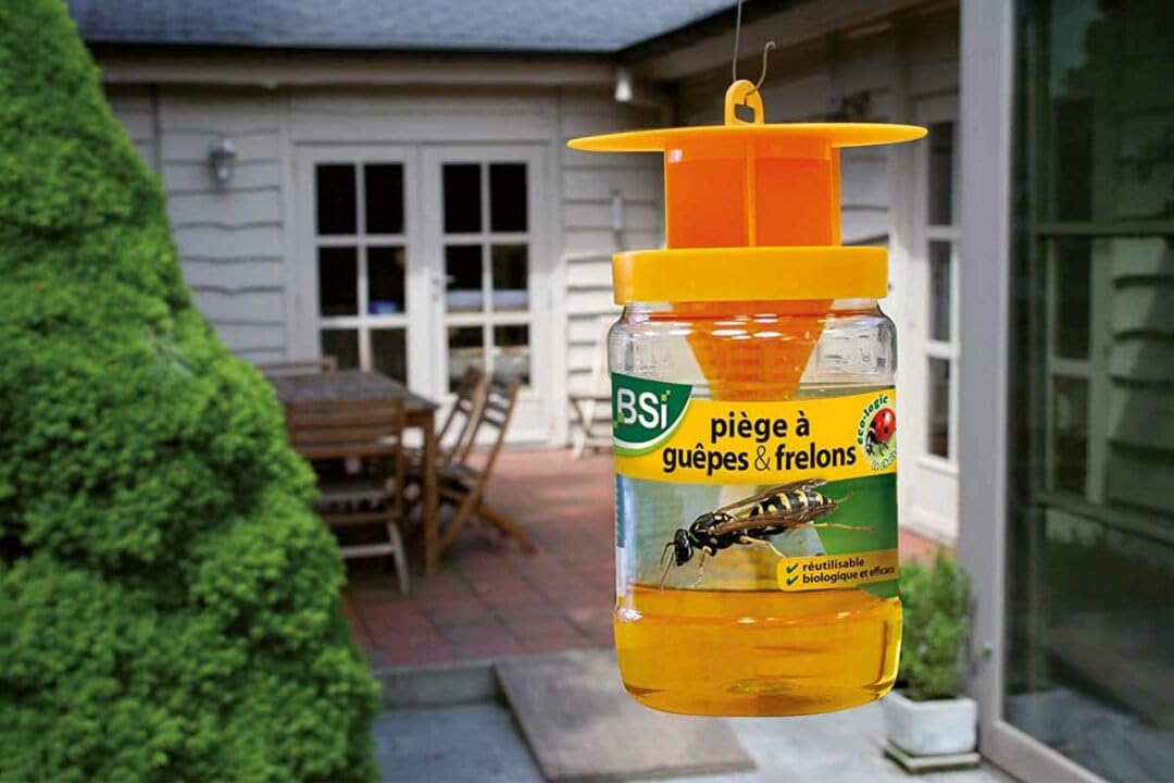 4PC Piège à Guêpes Insectes, Piege Frelon Asiatique, Attrape