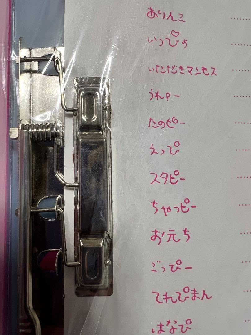 のりピー酒井法子の簡易保険クリアファイル のりピー酒井法子の簡易保険クリアファイル