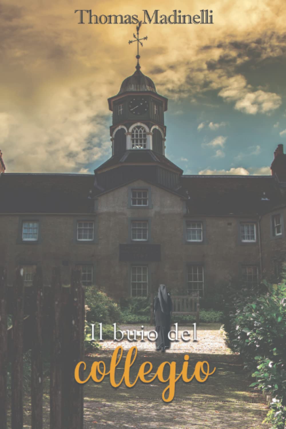 IL BUIO DEL COLLEGIO (Italian Edition)