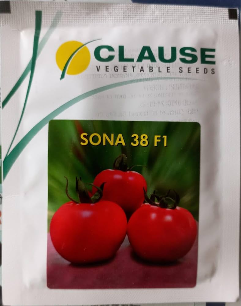 Clause Sona 38 F1 Hybrid Tomato Seeds, 10 gm Pack : Amazon