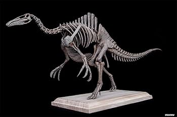 Amazon | 恐竜博物館 1/20 サイズ デイノケイルス Deinocheirus