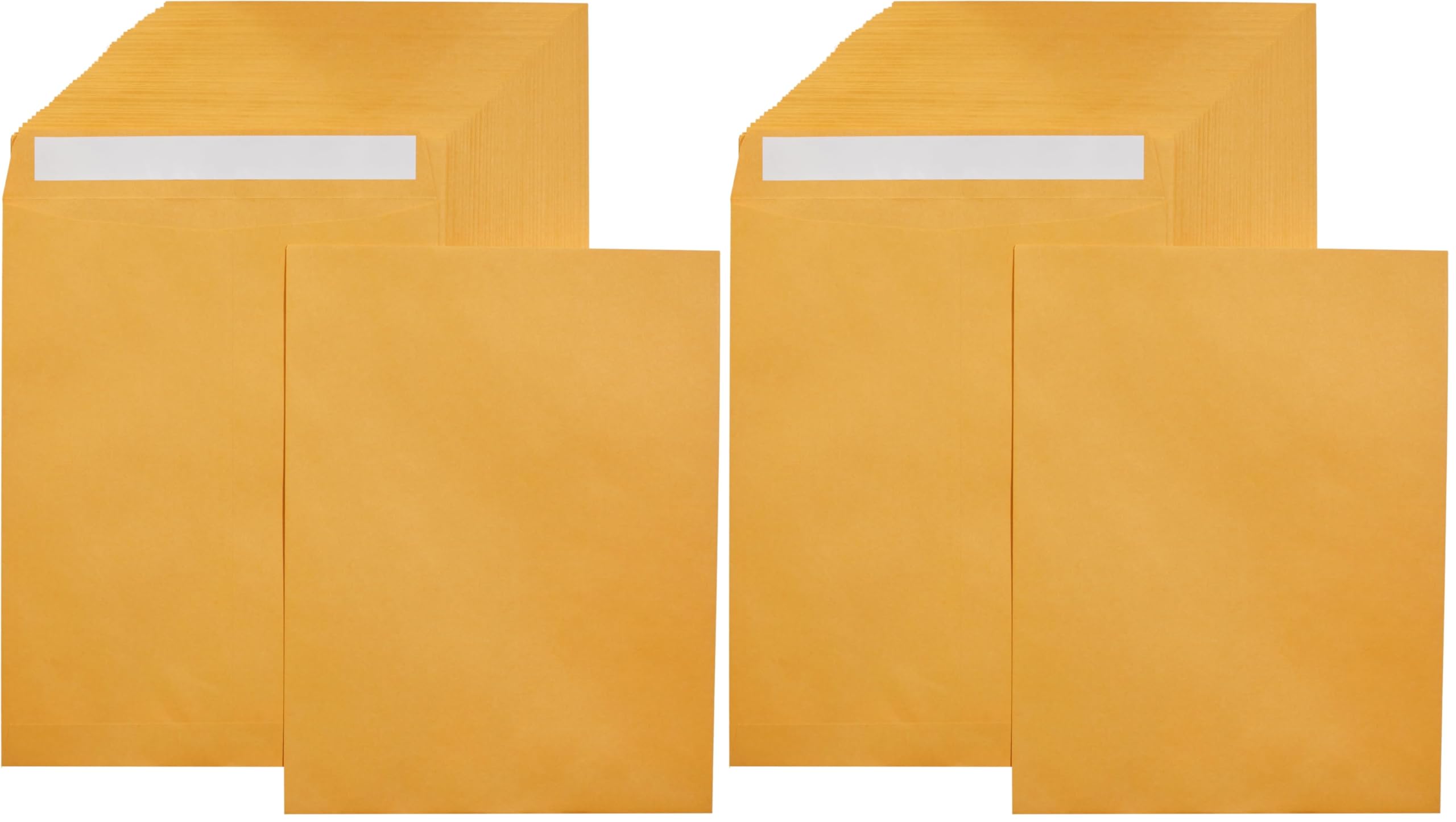 Amazon Basics Catalog Mailing Envelopes,Peel and Seal,10x13 Inch,Brown Kraft,250 Count (Pack of 2)