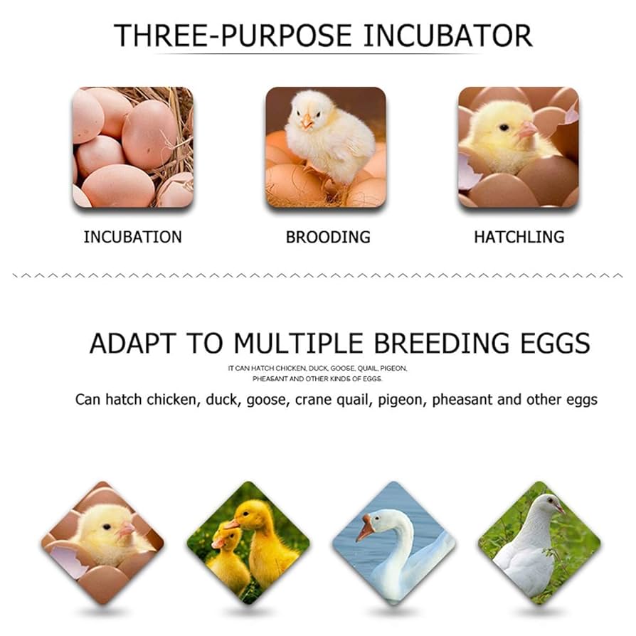 巨きな卵 Amazon.co.jp: 自動卵インキュベーター 自動回転卵と調整