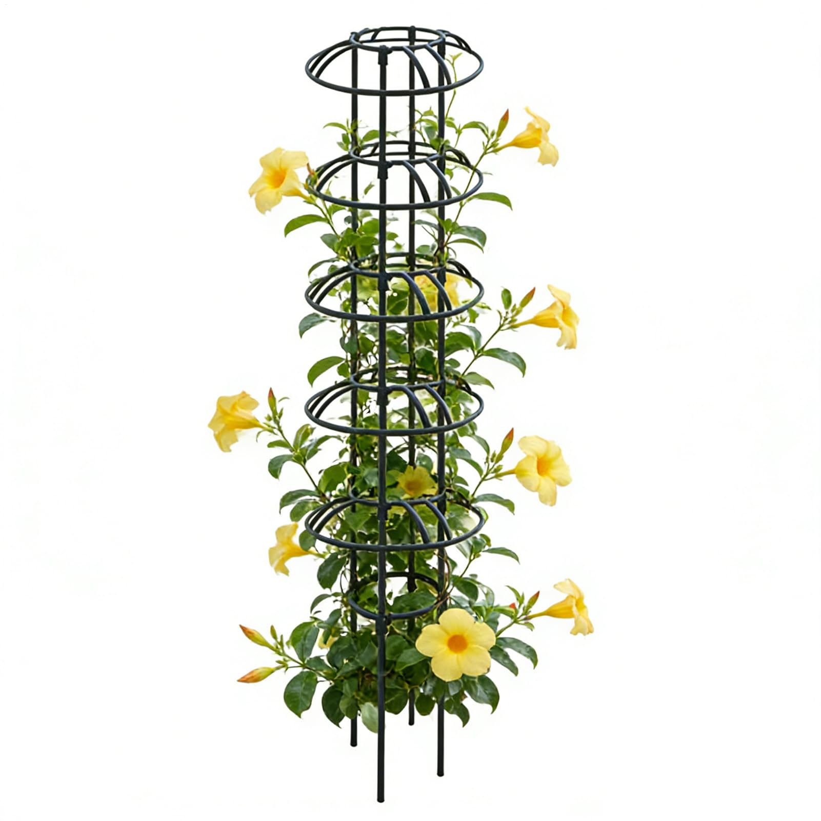 Support de Jardin pour Clématite et Plantes Grimpantes Intérieur
