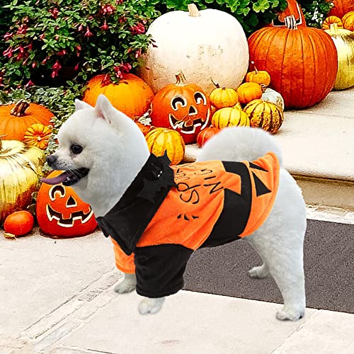 Fihome Halloween Pumpkin Dog Costume, Funny Pet Shirt Cat Dog Costume With Bat Wings For Small Medium Large Cats Kittens Puppy Cosplay Halloween Spooky Night Party Decoration (S/Pumpkin Color) #TOP2
