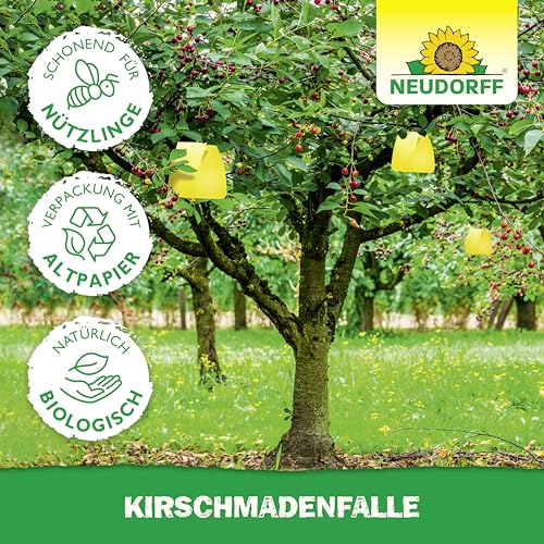 Neudorff KirschmadenFalle – Schützt Kirschen und Walnüsse vor Madenbefall, insektizidfreie Leimfalle, 7 Stück