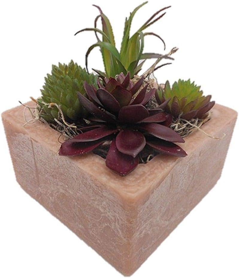 Habersham Candle Co. Mohave Matcha Succulent GEO Cube Candle