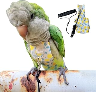 Parrot Bird Diapers, Birds Flight Suit, Parrot Clothes, Pet Animal Costumes, Bird Clothes, Cockatiel Bird Diaper, Pet Bird Diapers, Parrot Flight Suit, Bird Parrot Clothes (Yellow Cotton, XS)