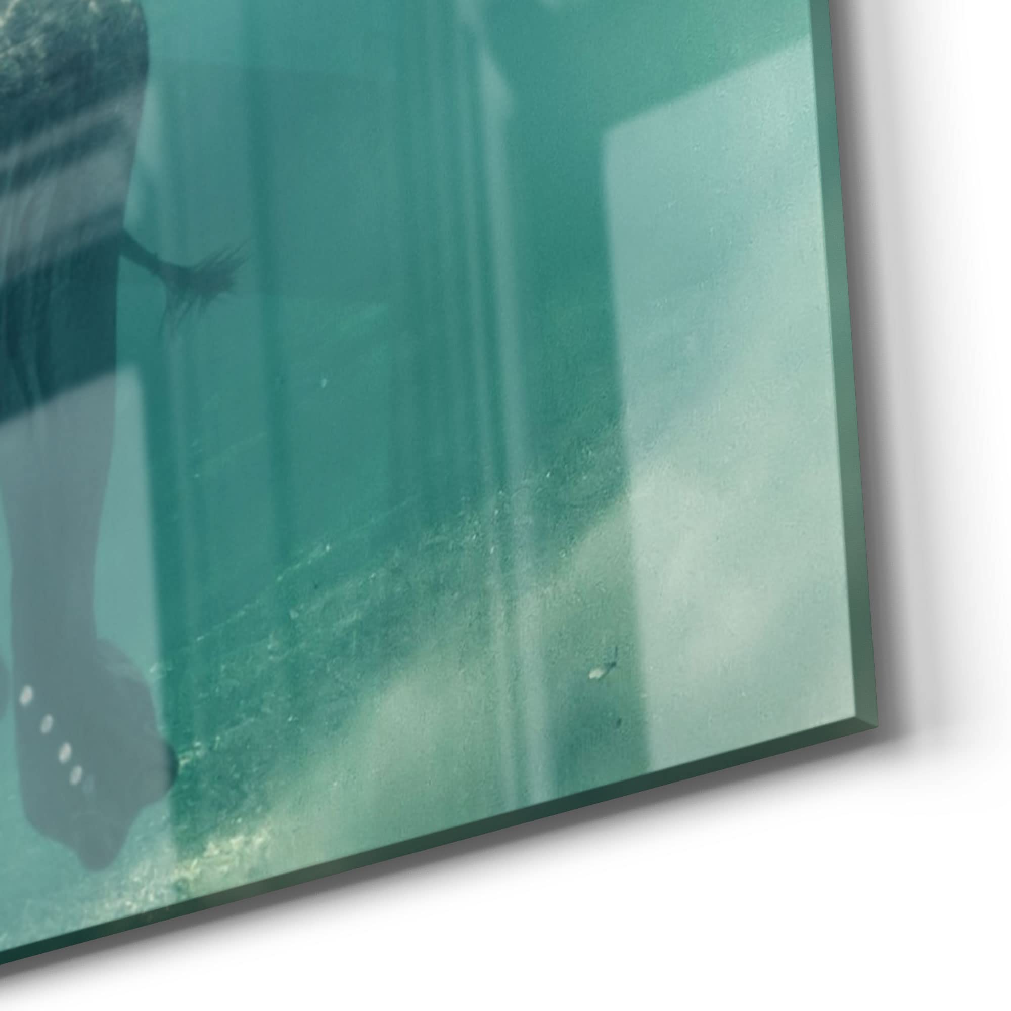 DEQORI Glasbilder Echtglas | Motiv Schwimmender Elefant | horizontal 4-teilig 120x60 cm | große XXL Deko | Wandbilder für Wohnzimmer, Schlafzimmer, Flur & Küche | moderne Wanddeko