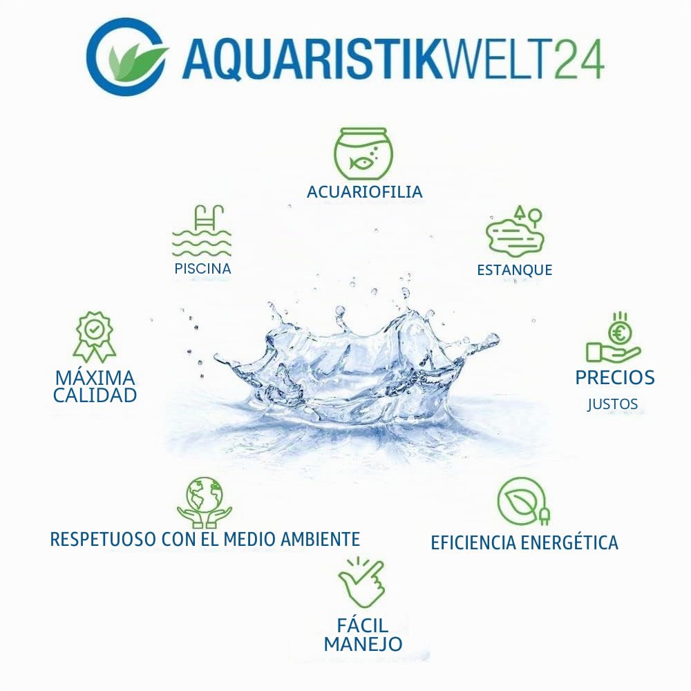 AquaOne Plantas de Acuario I 5x Set de Plantas Acuáticas I Plantas de Fondo para Acuarios I Ammannia Echinodorus Ludwigia Ceratopteris Alternanthera I Set de 5 Plantas de Fondo