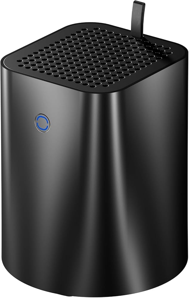 Amazon.com: AOOSTAR R7 AMD R7 5825U Mini PC 8C/16T, Support 44T（2