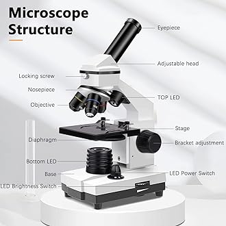 KASTWAVE 100X-2000X Microscopes for Kids Students Adults, Powerful Biological Microscopes for School Laboratory Home Education,with Microscope Slides Set, Phone Adapter