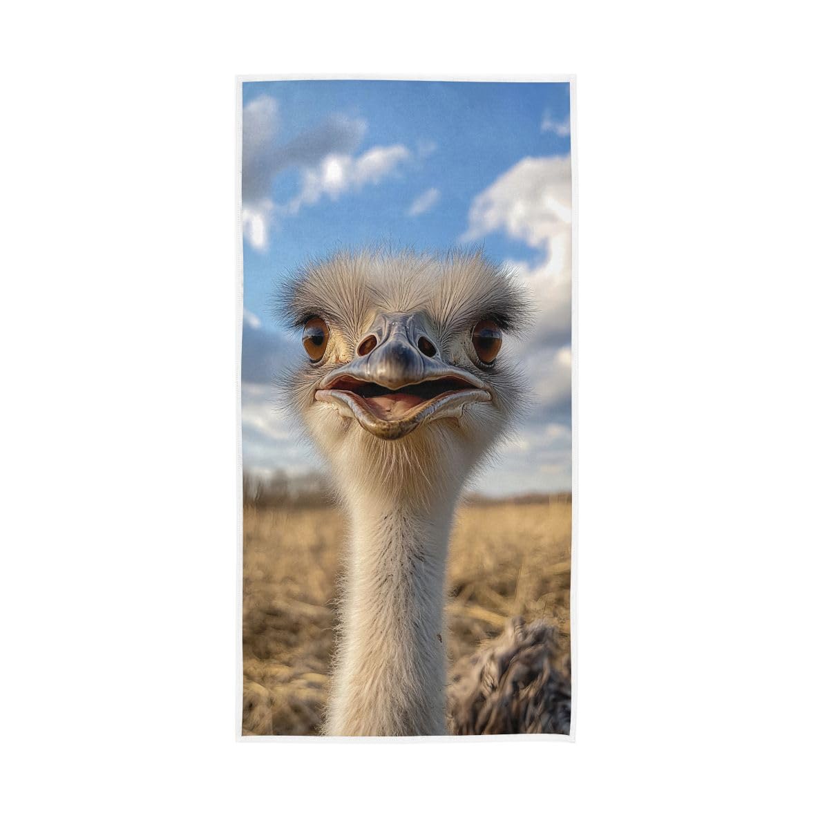 LSRCPD Ostrich Photo Hand Towels, 15 x 30 Inches, Soft Highly Absorbent Towels for Bathroom Gym Hotel