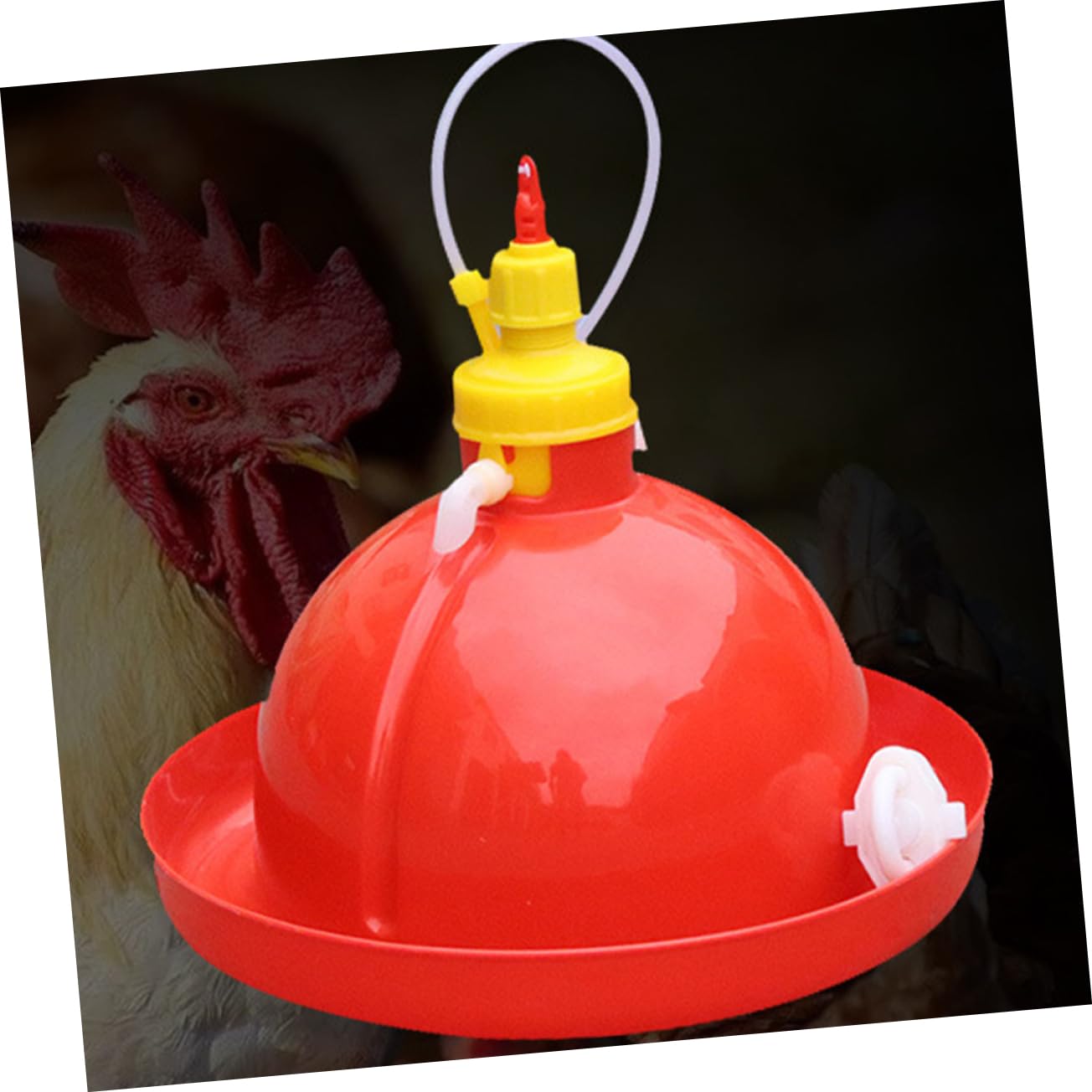 GALPADA 1Set Automatic Poultry Water Dispenser Durable Chicken Feeder for Coop Capacity Easy to Install Clean for Chickens Ducks Quail Other Poultry