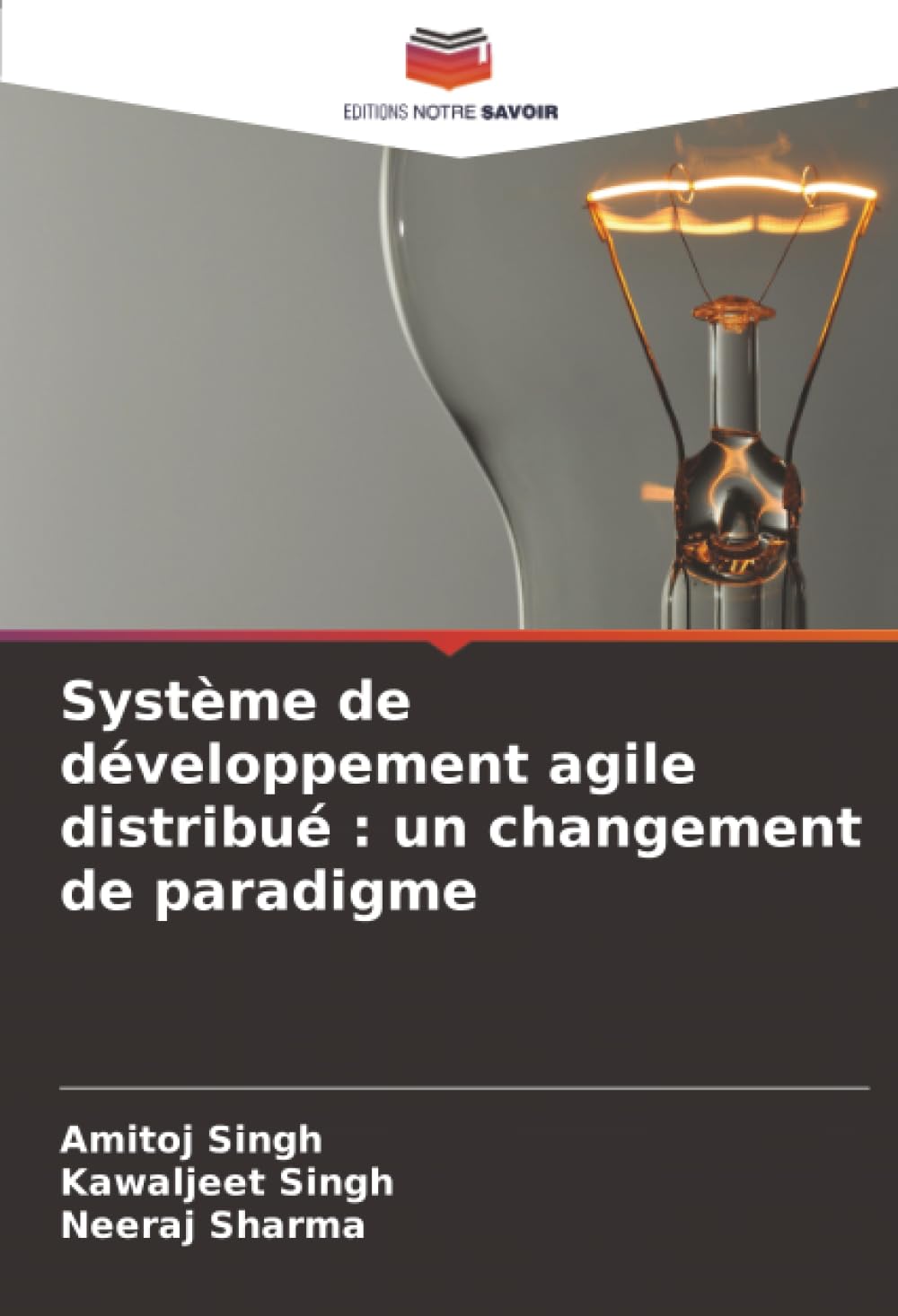 Système de développement agile distribué : un changement de paradigme