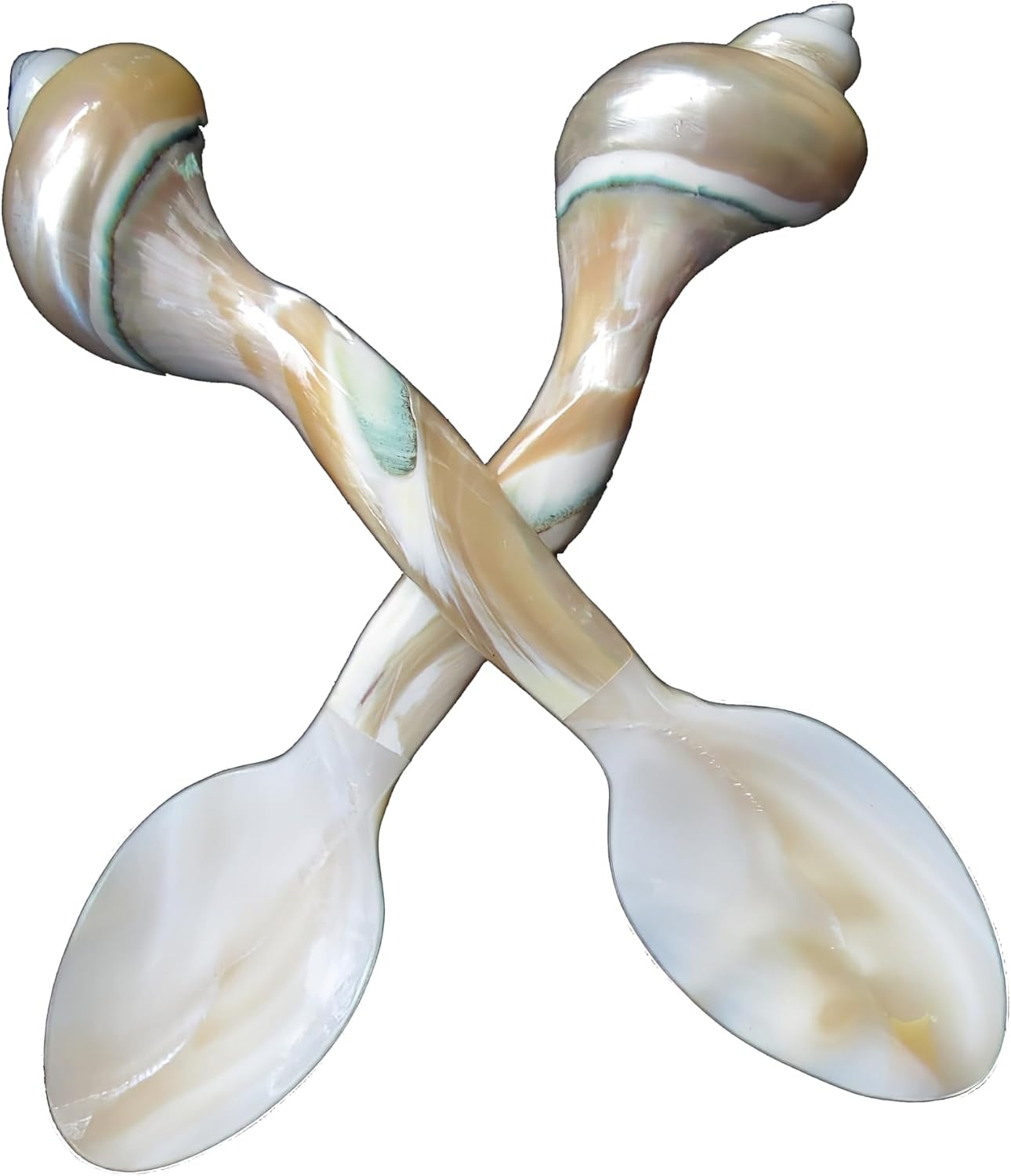 Set of 03 Spoons Shell Spoon Mother of Pearl Caviar Spoons W Round Handle for Caviar, Egg, Ice Cream, Coffee, Restaurant Serving (3 Pieces,7 Inches)