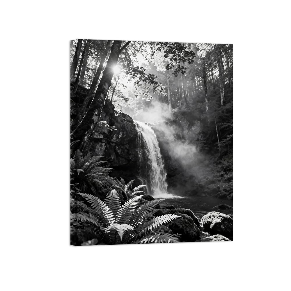 Black White Landscape Wall Art. Tree Waterfall. Picture 40x50cm Unframed