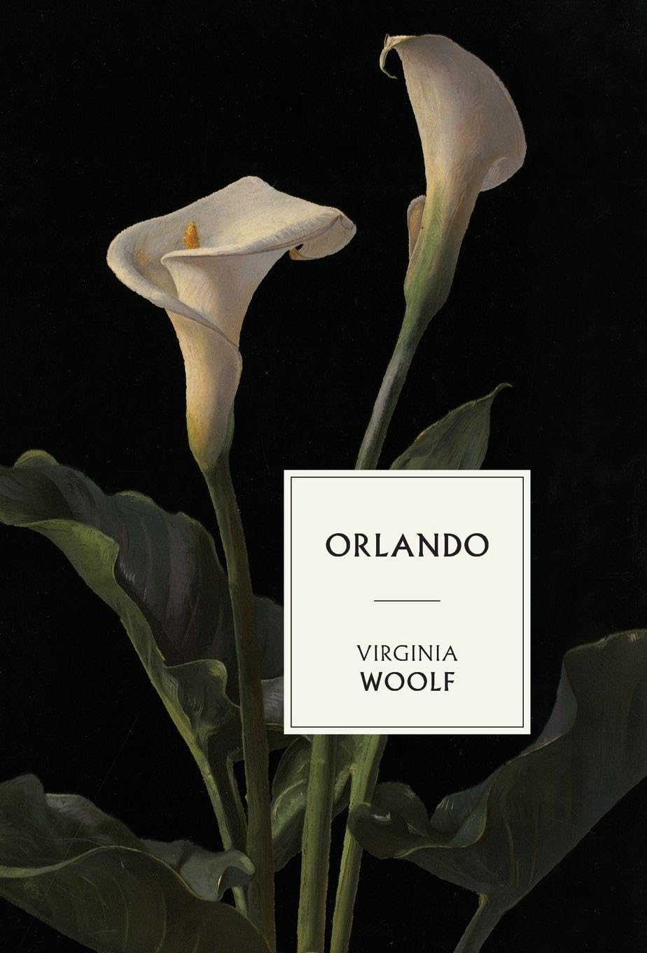 Orlando