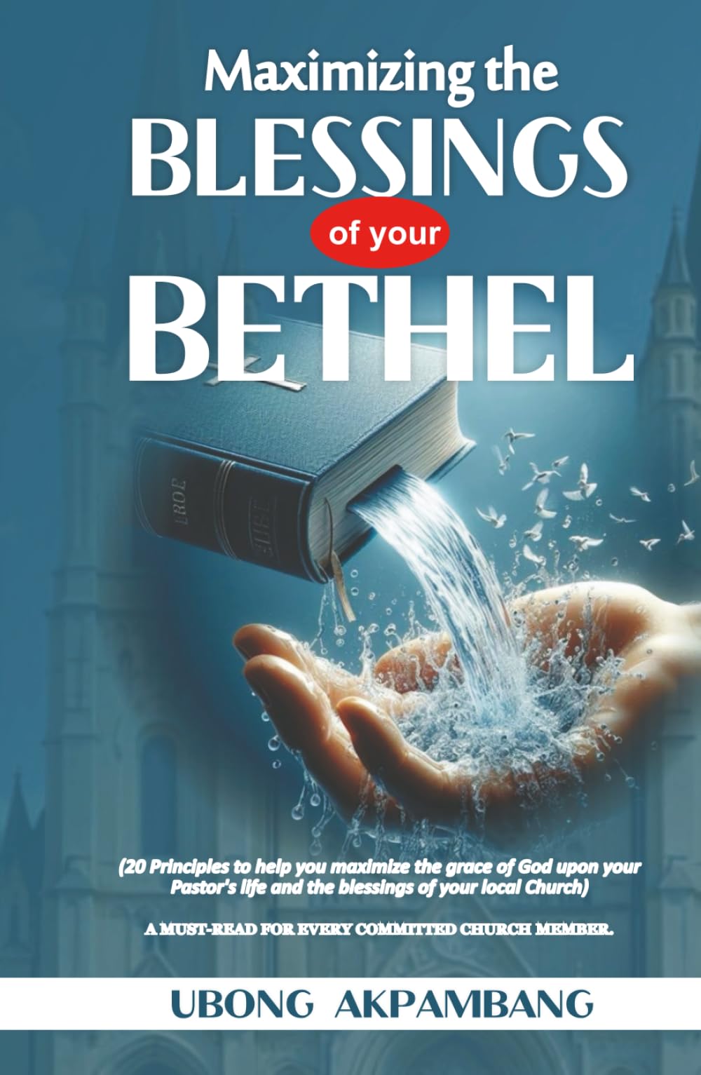 MAXIMIZING THE BLESSINGS OF YOUR BETHEL: 20 Principles to help you maximize the grace of God upon your Pastor's life and the blessings of your local church(A MUST-READ FOR EVERY CHURCH MEMBER)