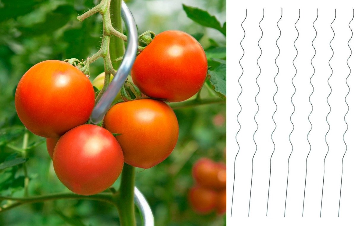 Markenlos 25 x Tomaten-Spiralstab 180cm Stahl verzinkt