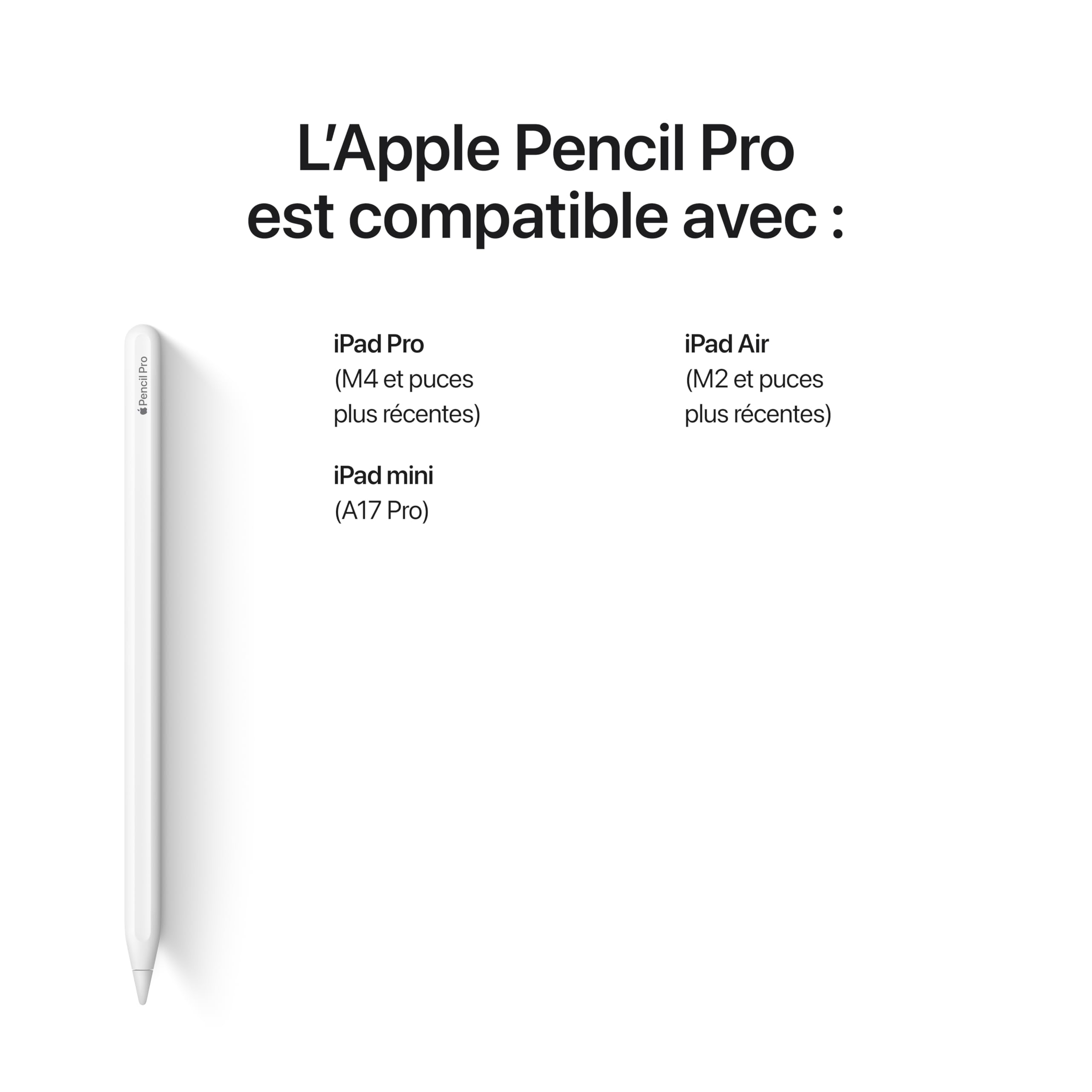 Amazon.ca: Apple: iPad Accessories