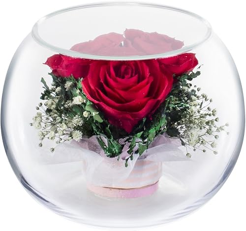 Miniatura 3 de Rende Roll QB-B Artificial Plant Pink H14.5x19.5x19.5 Rende Roll