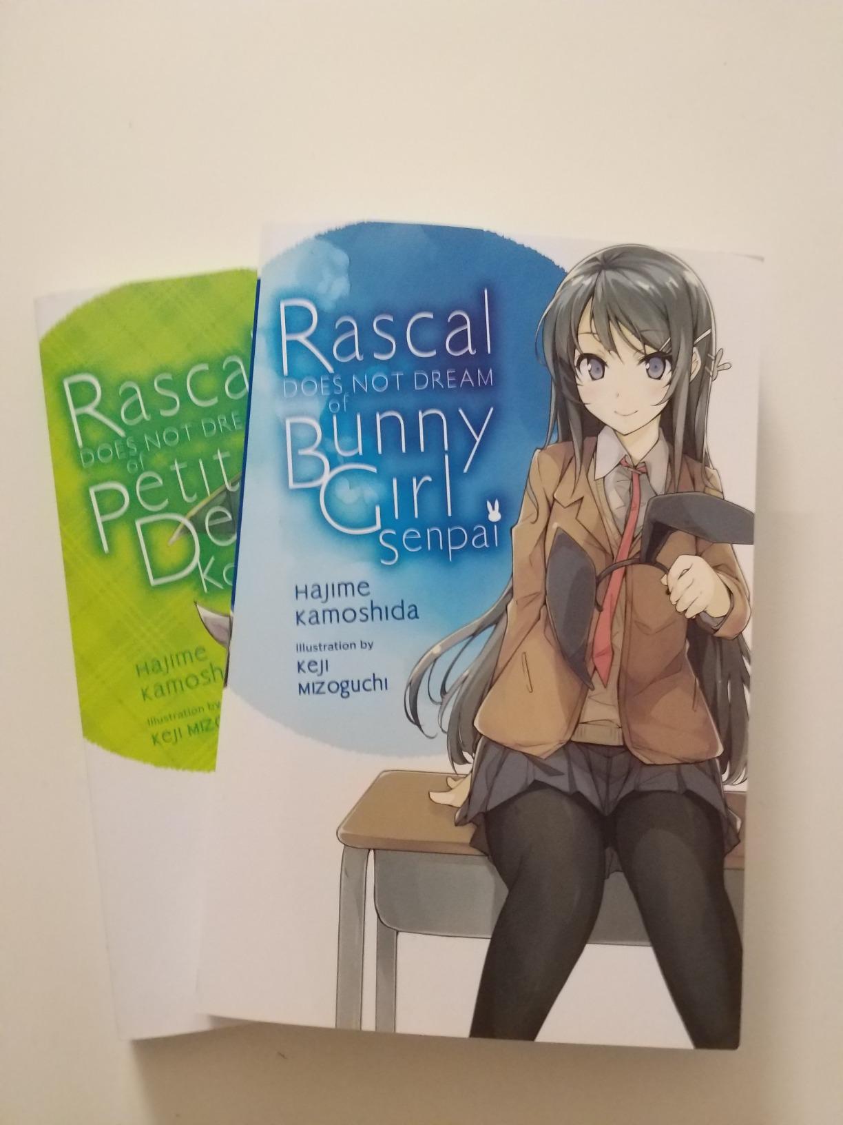 Rascal Does Not Dream of Bunny Girl-senpai, Vol. 1 (light novel