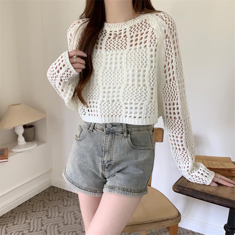 Image of ICW Women's Knitted Crochet Transparent Long-Sleeve Hollow Out Sheer Pullover Top T-Shirt Sweater Dn61 (One Size Fit XS-S-M-L)