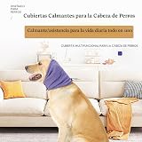 Ver la foto 4