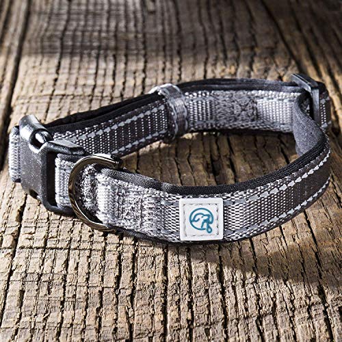 Embark Adventure Dog Collar with Soft Padded Neck, Matching Set with The Adventure Leash and Harness, Pet Collars for Dogs & Most Breeds (Medium, Black)