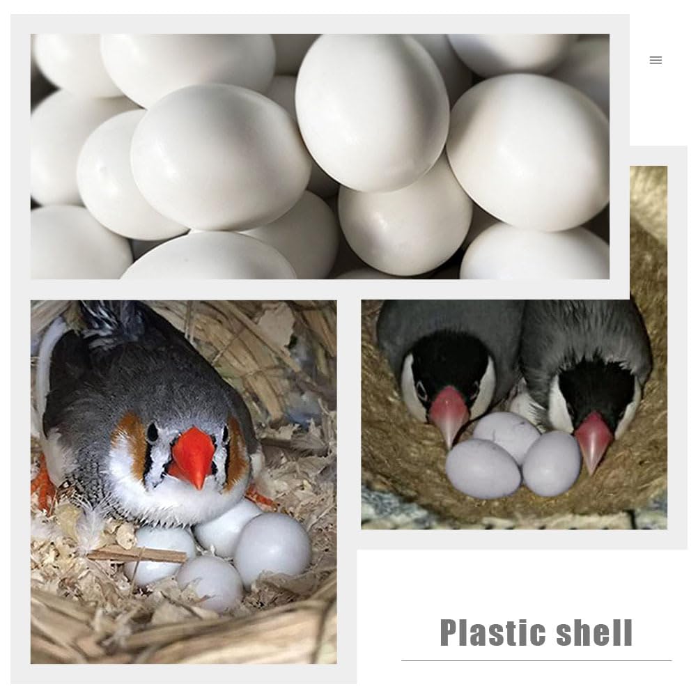 YARNOW 12 Stück Zarte Künstliche Eier Aus Kunststoff Für Vogelzucht Und Dekoration Realistische Gefälschte Vogeleier Für Wellensittiche Finken Und Tauben Haushalts-Eierrequisiten