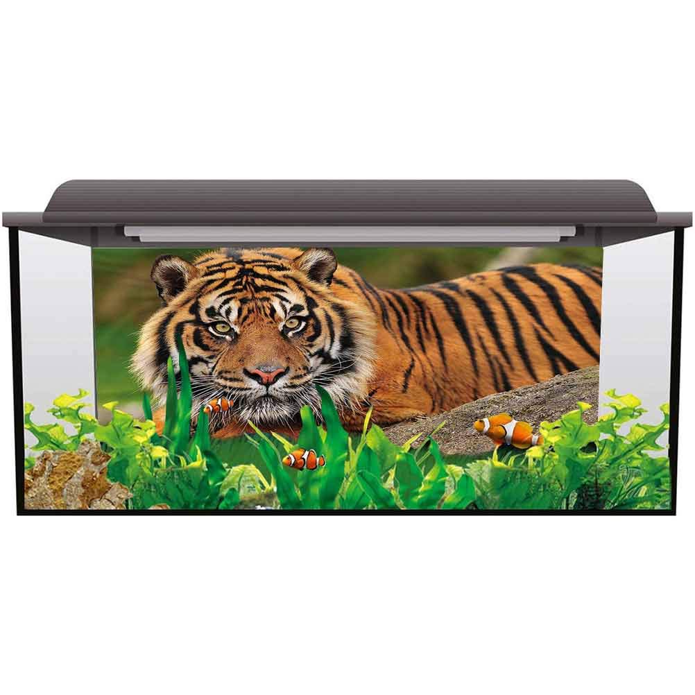ScottDecor Aquarium Background Decoration Tiger,Tiger Crouching on Rock Easy to Apply and Remove L48 X H18 Inch