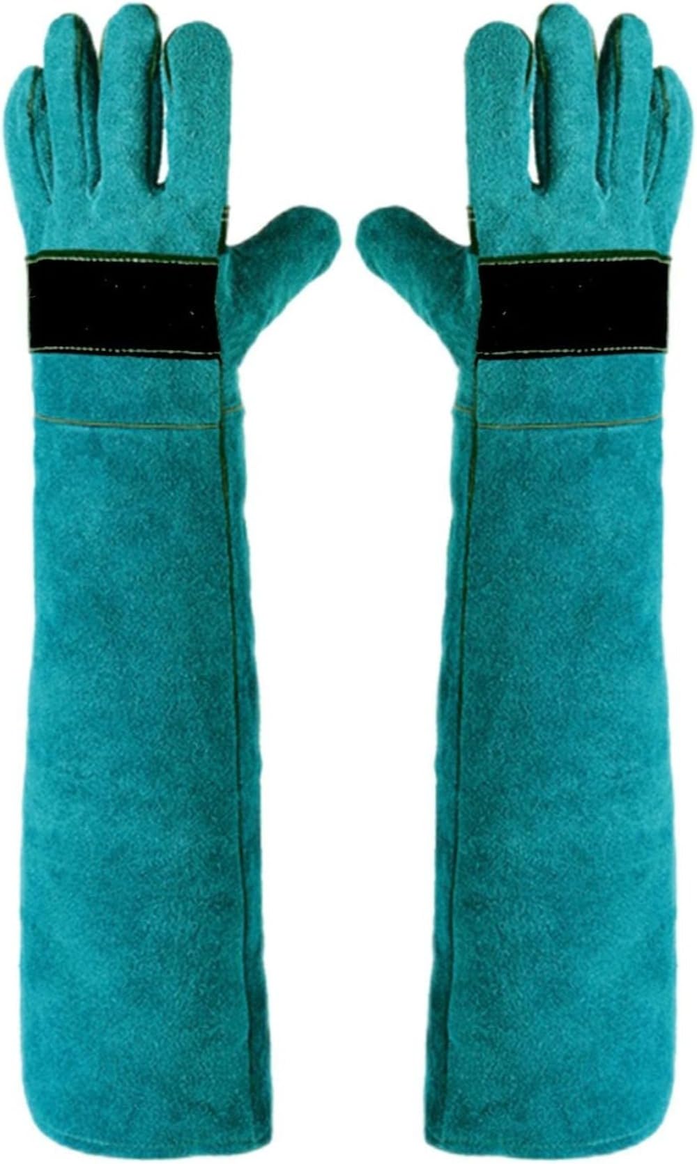 猛禽類 グローブ