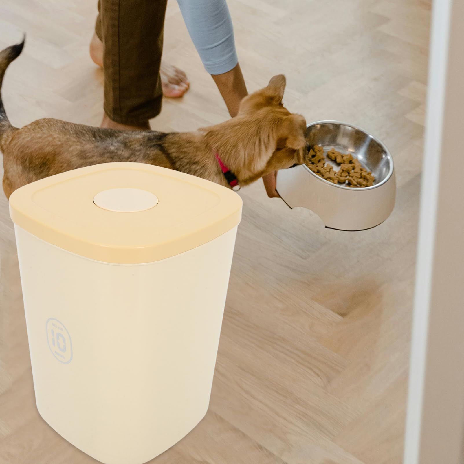 YARNOW Récipient Hermétique De Stockage De Nourriture Pour Chien Jusqu'à 22 Lb/10 Kg Boîte De Friandises Pour Animaux De Compagnie Récipient De Nourriture Pour Chat Bac En Plastique